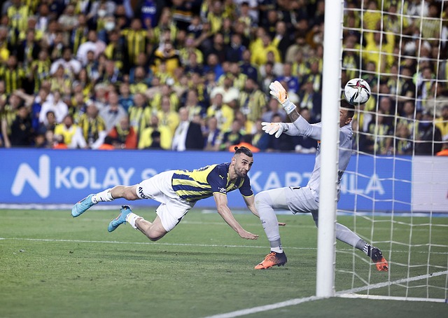 对排名积分 对排名积分