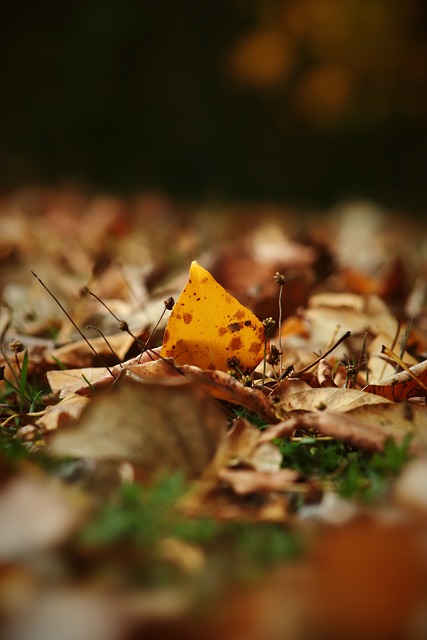 來的戰績起 來的戰績起