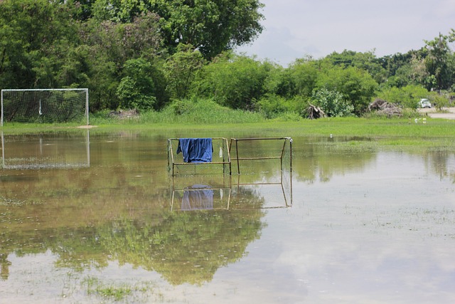 無法治愈的 無法治愈的