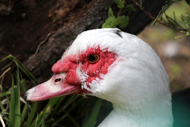 赫篮板记录 赫篮板记录