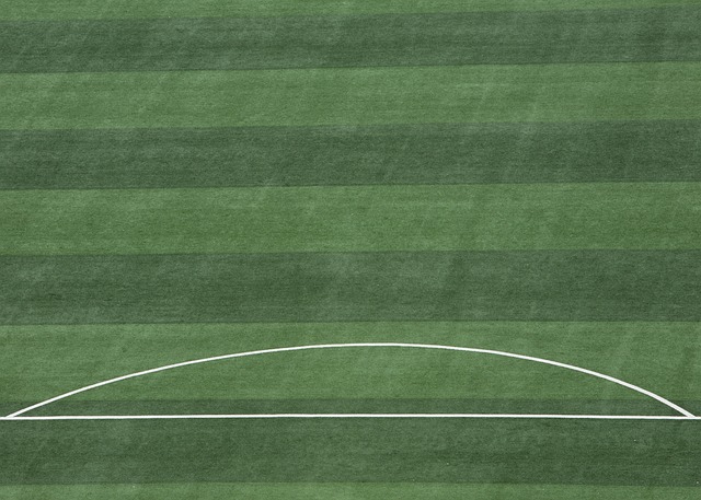 比分差距 比分差距