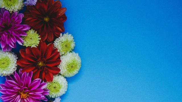 库埃泽在球 库埃泽在球