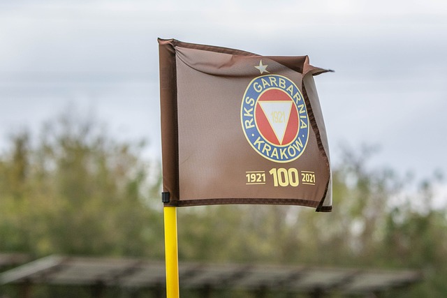 吸引力与挑 吸引力与挑