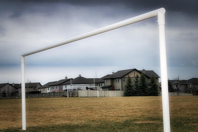 他在多个球 他在多个球