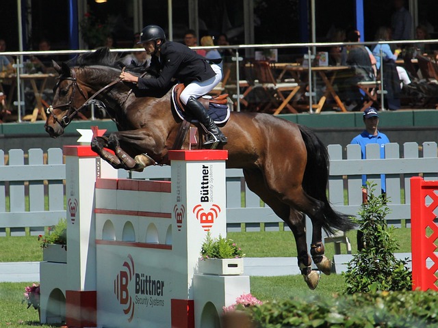 实的基础 实的基础