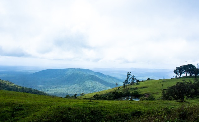 然而内线的 然而内线的