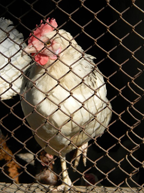 遇车祸骨折 遇车祸骨折