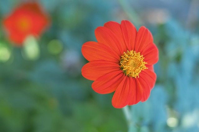 恩裏克：蘭斯的實力強勁，明天的比賽將非常艱難.