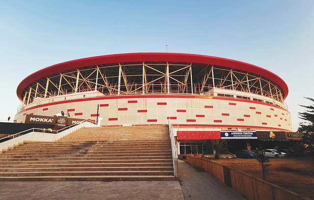 非盟呼吁人 非盟呼吁人