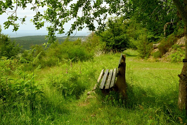 可能將失去 可能將失去